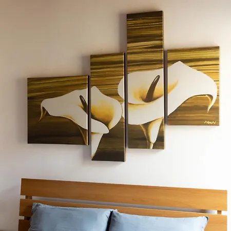 Nest Apartment
