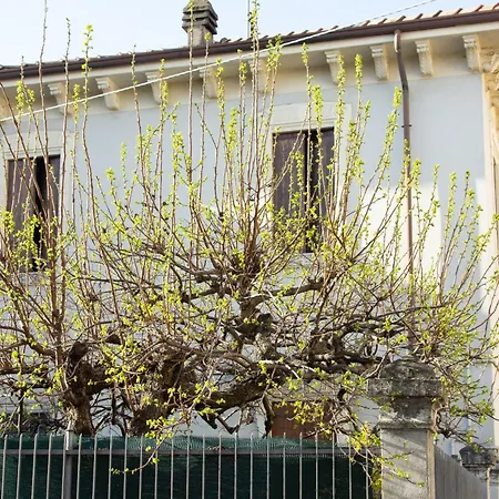 Apartment Nest Verona
