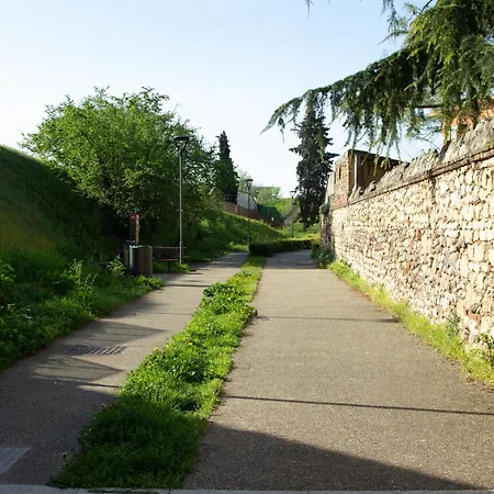 Nest * Verona