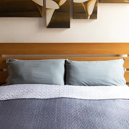 Nest Apartment